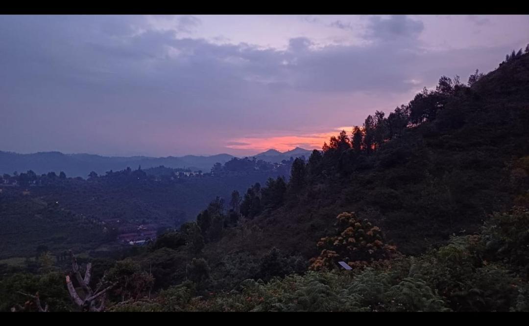 Vila Joy House - 1 Bhk Cozy Entire House (Adults Only) Ooty Exteriér fotografie